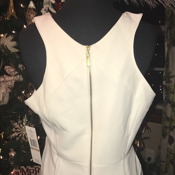 NWT Sharagano Ivory Cocktail Bodycon Dress Size 12 - Picture 5 of 5